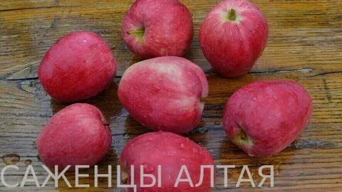Сорта формы