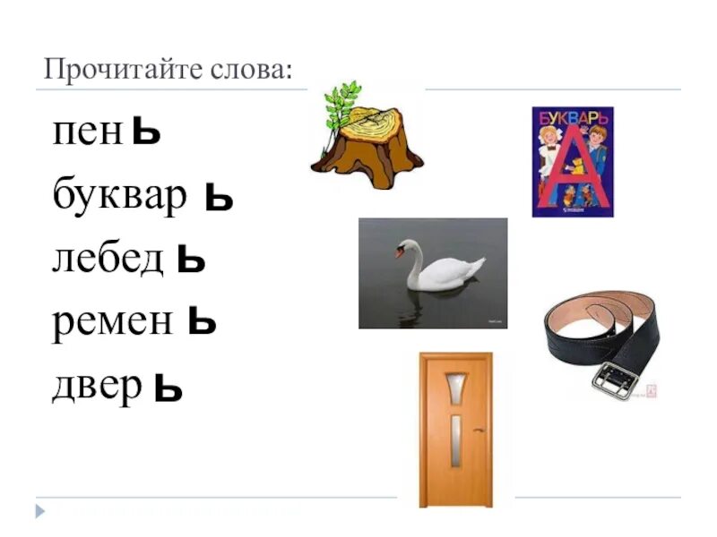 Слово с ь мягким знаком. Слова на букву ь. Предметы с мягким знаком. Слова с мягким знаком на конце для дошкольников. Слова с ь картинки.