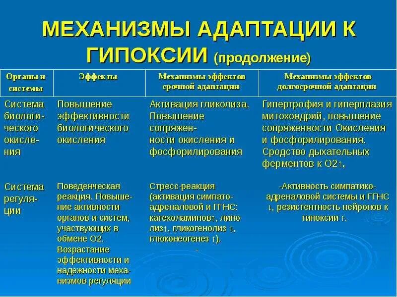 Механизмы адаптации к гипоксии. Механизмы экстренной адаптации организма к гипоксии. Механизмы долговременной адаптации организма к гипоксии. Стадии адаптации к гипоксии.