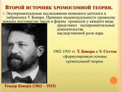 Второй источник