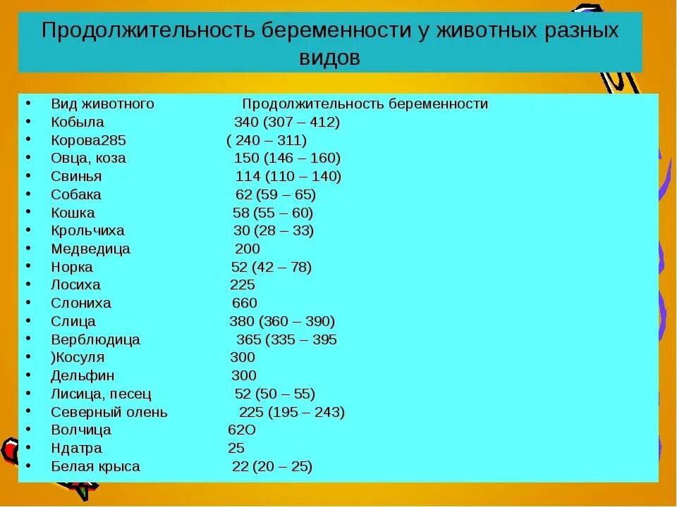 Длительность беременности у животных таблица. Сроки беременности у животных. Продолжительность беременности у разных животных. Сколько длится беременность у животных таблица.