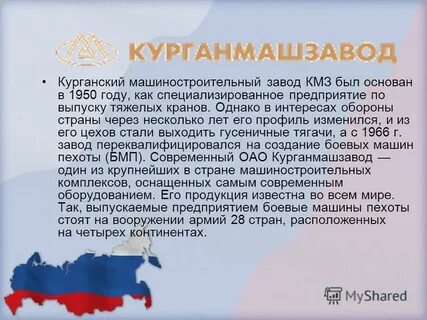 Проект курганская область