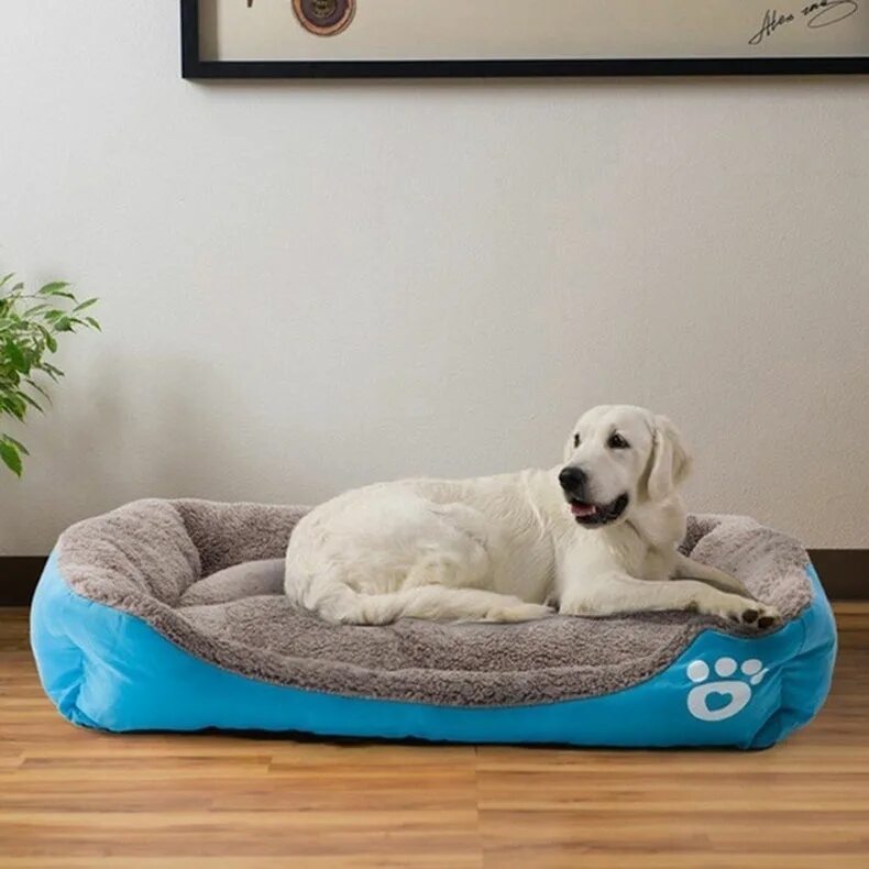 Bedroom dog. Лежанки Merle Pets. Лежанка Pet House Pet Bed. Кровать для собаки. Лежанки для крупных собак.