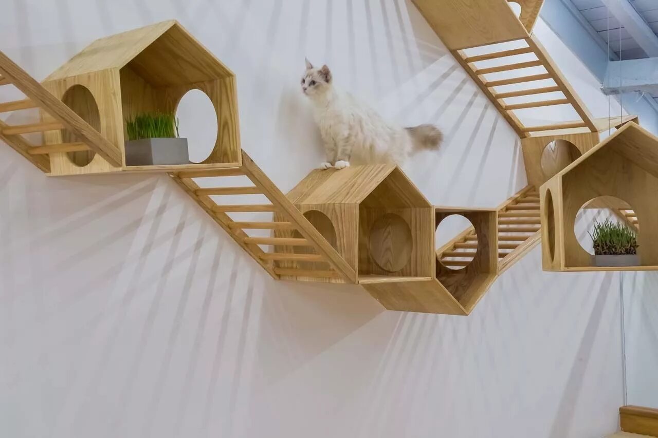 Cat playground