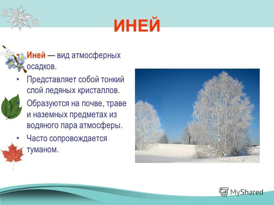 Лексическое значение слова снежинки. Зимние явления с описанием. Иней для презентации. Иней это определение. Сообщение зимних явлений.