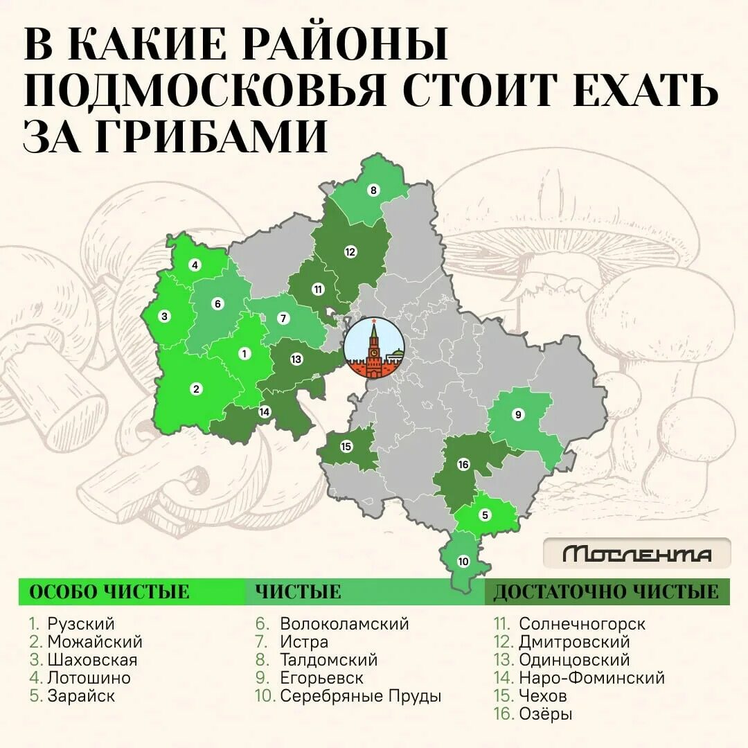 Экология московской области 2023. Грибные места в Подмосковье 2023. Карта грибов Подмосковья 2022. Грибные места в Подмосковье 2022. Карта грибника Подмосковья.