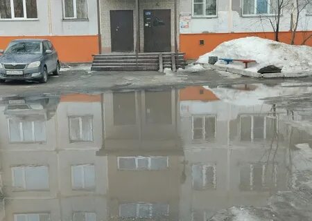 Потепление в новосибирске