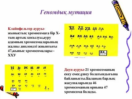 Әжелер мен немерелері бейнеленген орыс порносы