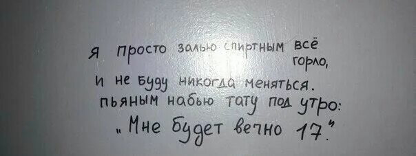 Вечно 17 текст. Я просто залью спиртным все горло. Вечно 17 книга. Мне будет вечно 17.