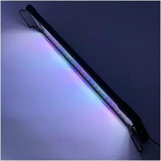 Led gr