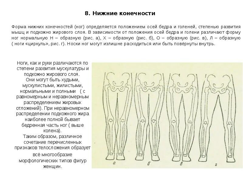 Положение бедер