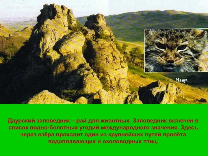 Проект "Разнообразие природы Каларского района Забайкальский край" 3 класс,забай