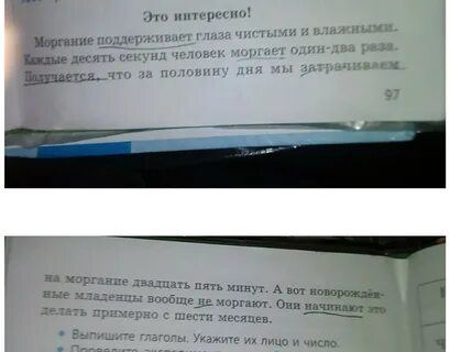 Где написано что человек