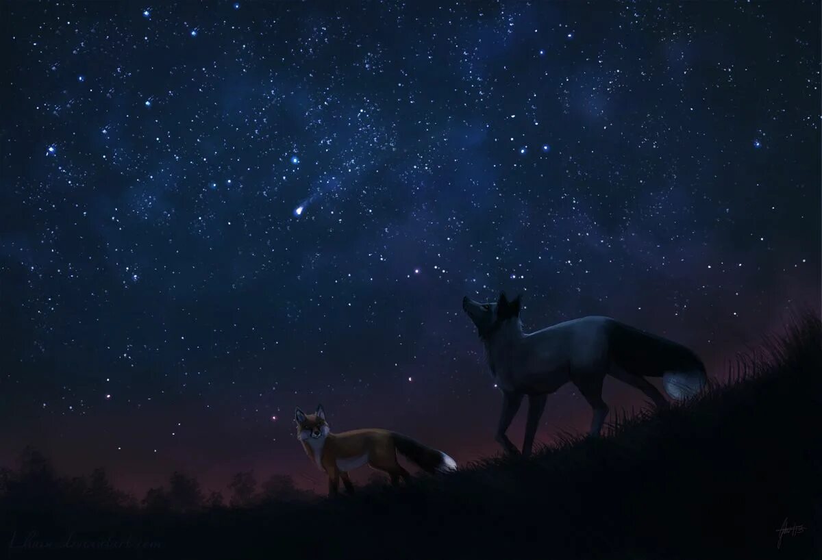 Пастух на звездном небе. Джоанна Таркела. Животные ночью. Животные и звездное небо. Лиса и звездное небо.