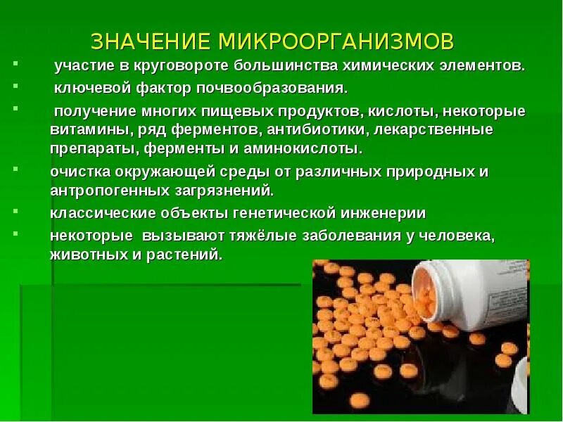 Качества микроорганизмов. Микроорганизмы пищевых продуктов. Качества микроорганизмов. Положительные качества бактерий. Фитопатогенные бактерии.