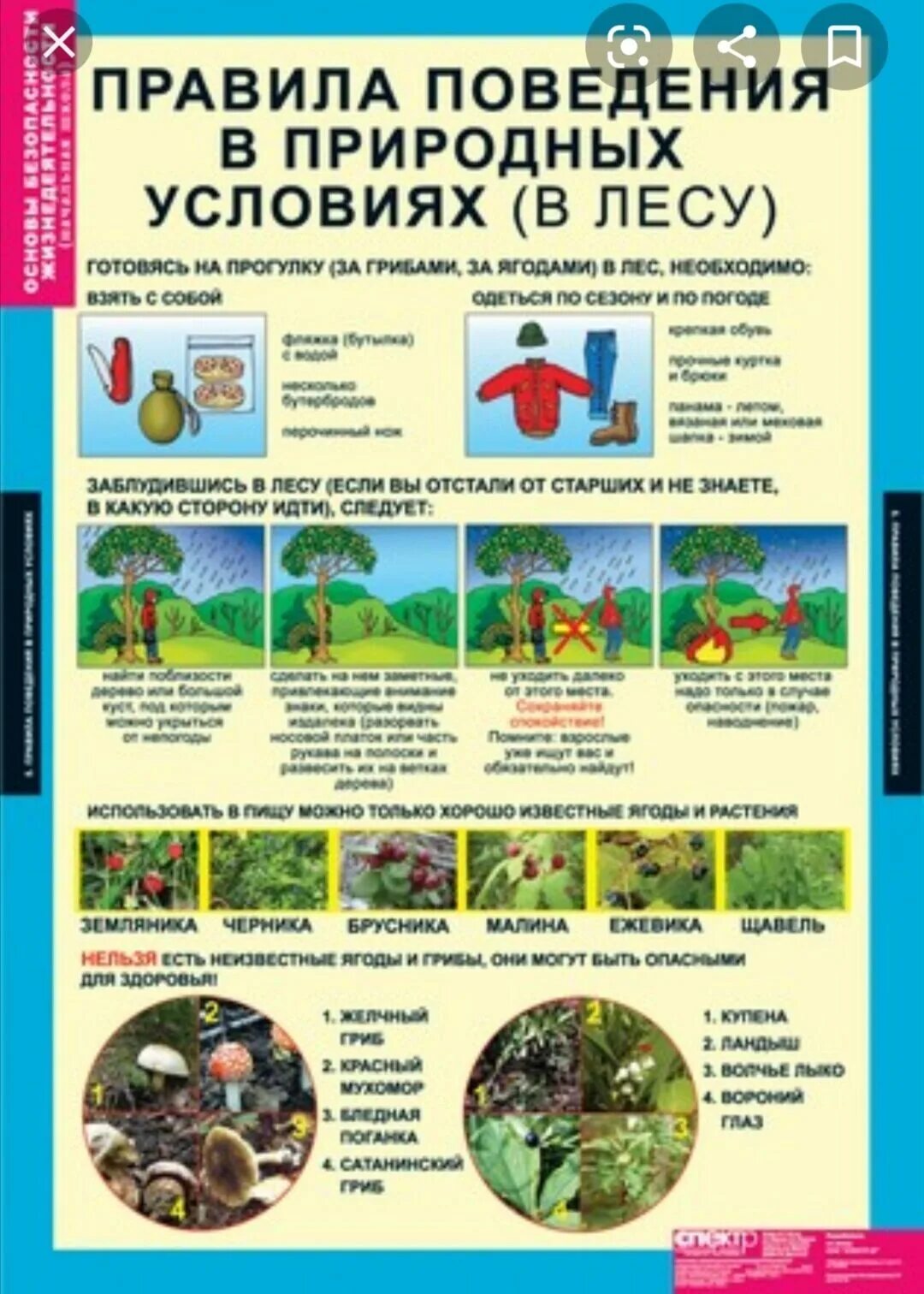 обж 10 безопасность в природной среде. автономное существование человека в природной среде. примеры автономного существования человека. привали поведения в лесу. обж 10 безопасность в природной среде.
