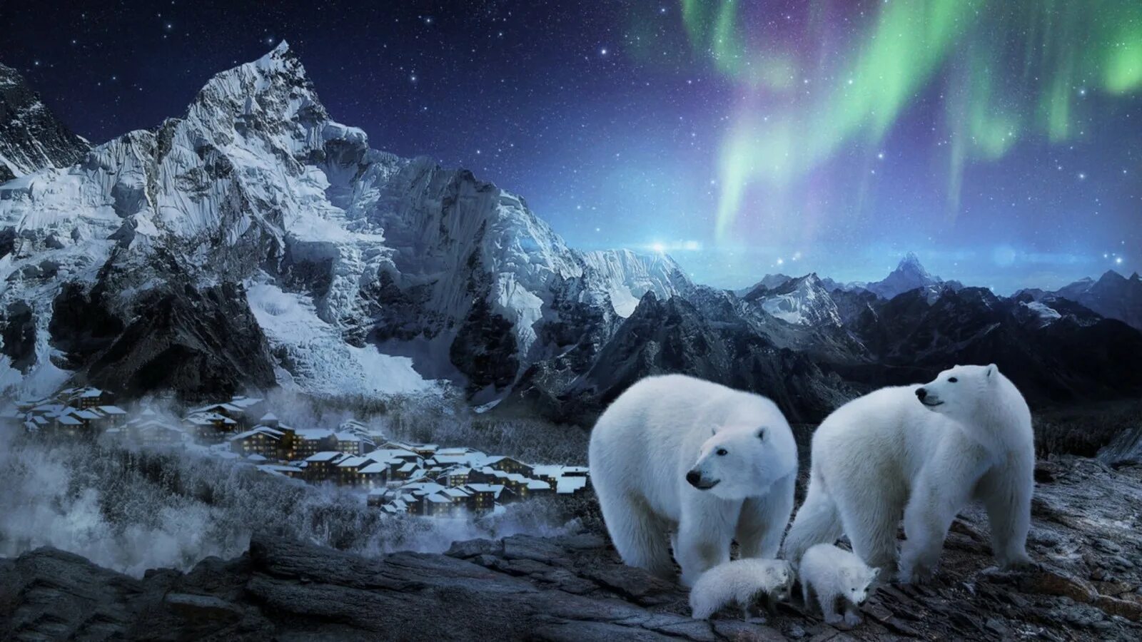 Картина белые медведи. Полярный медведь ночью. Северный полюс. Полярный медведь ночью. Белые медведи в антарктиде.