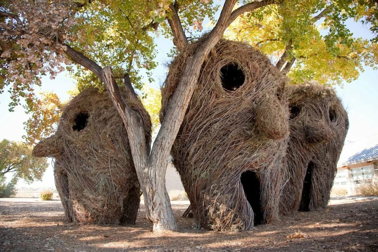 Необычные картинки. Дерево Патрик Догерти. Скульптуры Patrick Dougherty. Необычные деревья. Странные деревья мира.