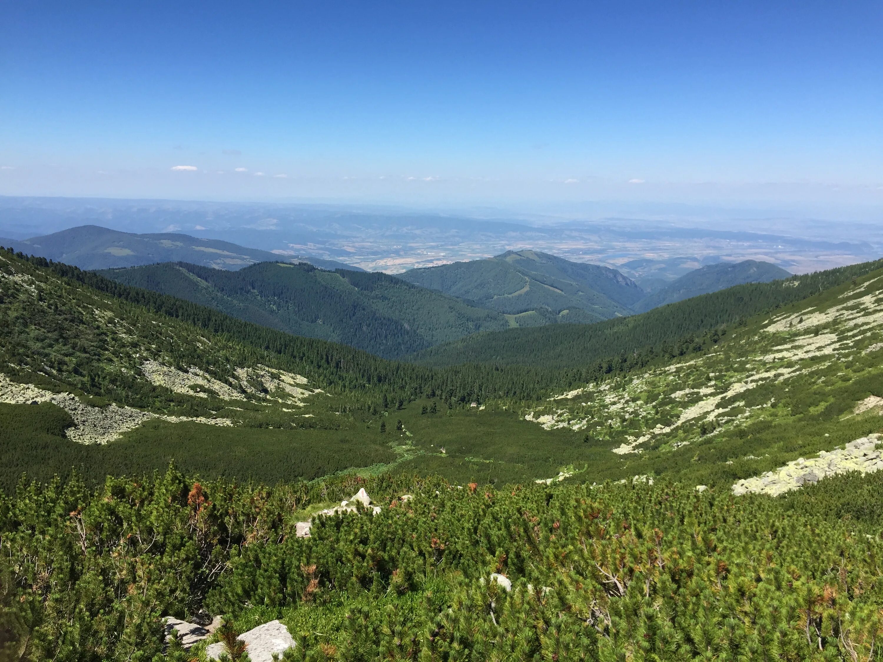 В лесах в горах содержание. Чашковские горы. Retezat.