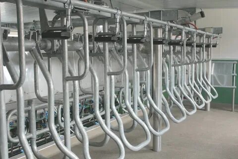 Доильная установка параллель
