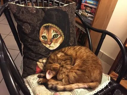 Котиссимо