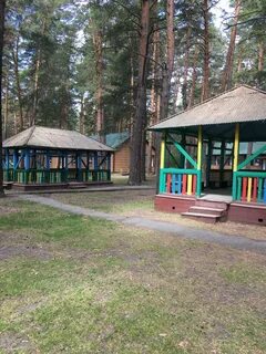 Лагерь дружный ленинградская область