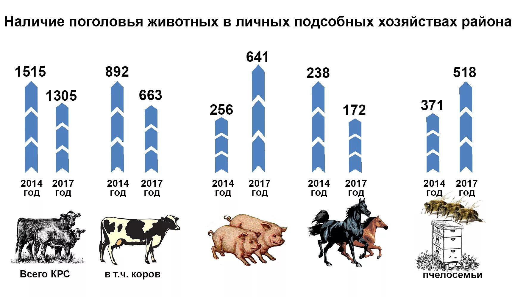 Страны по поголовью крупного. Численность крупного рогатого скота в России 2021. Поголовье коров в России в 2022 году статистика. Поголовье КРС В России в 2021 Росстат. Поголовье коров в РФ.