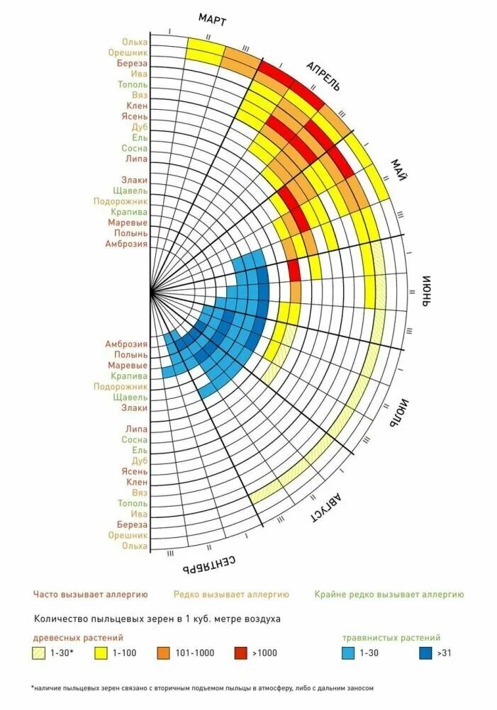 Календарь пыльцы. Календарь цветения растений средней полосы России. Таблица цветения для аллергиков. Календарь цветения пыления. Календарь цветения для аллергиков.