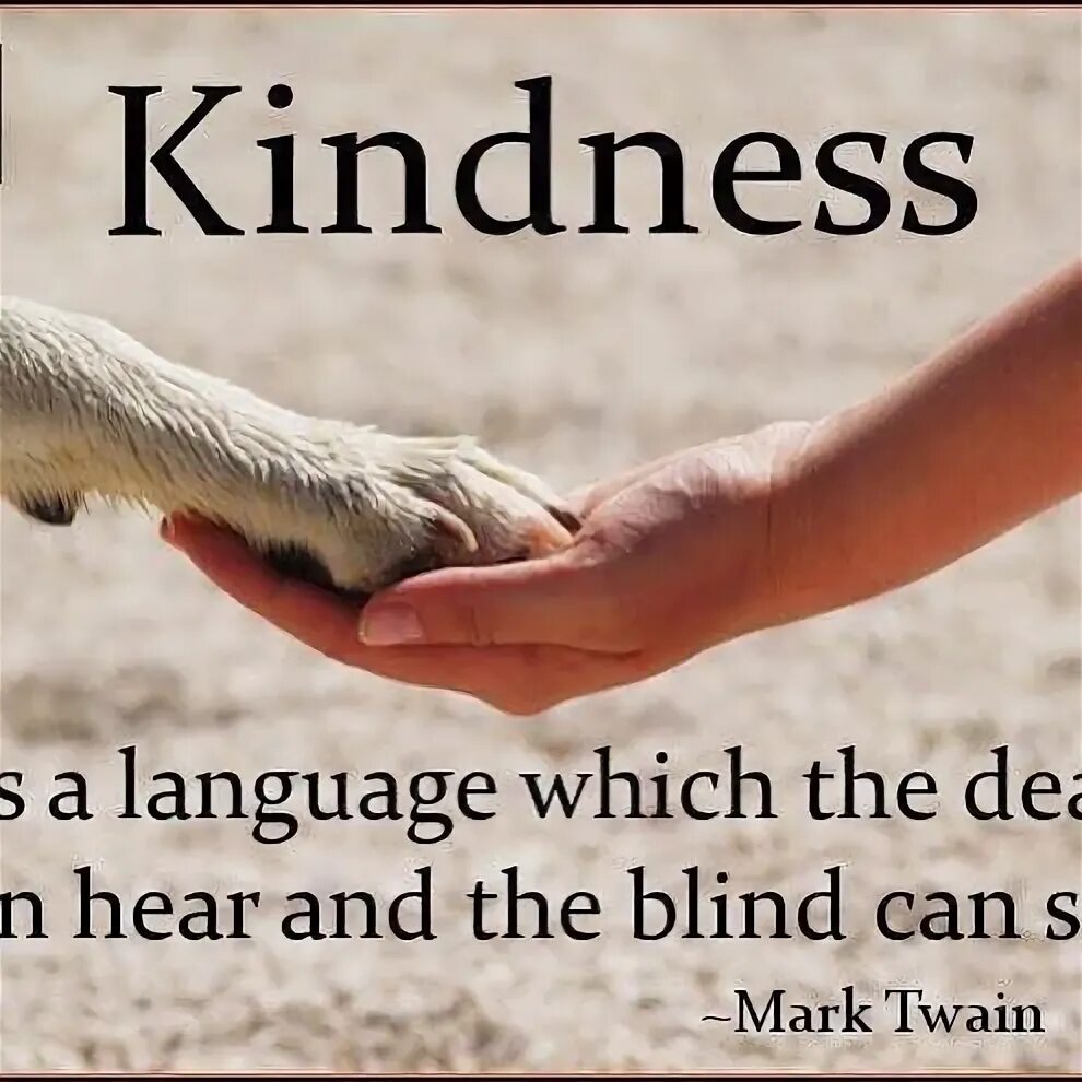 Kindness to animals