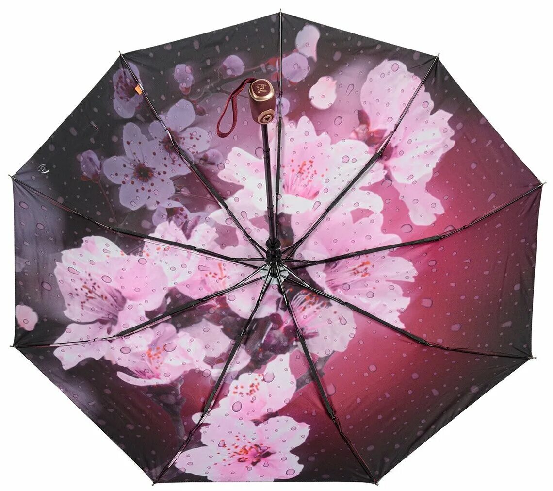 Dolphin germany russia зонт. зонт женский полуавтомат. зонт женский с буквой s на куполе. зонт dolphin umbrella. зонт женский полуавтомат.
