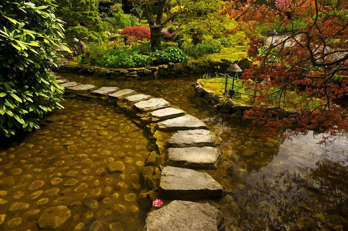 Японский пруд. The Butchart Gardens японский сад. Японский прудик. Японские пруды с камнями. Японский сад с прудом.