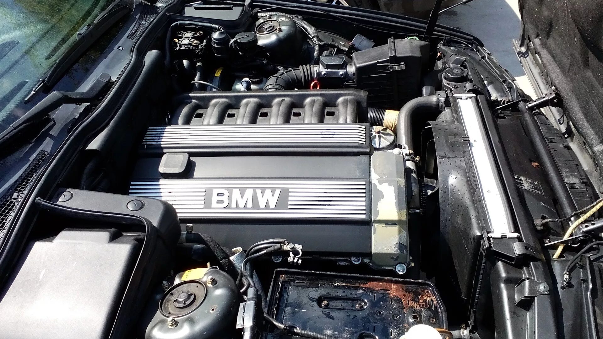 Bmw m 50. Мотор БМВ м50б20. Двигатель BMW m50b20. БМВ е34 м50б25. Мотор м50 БМВ е34.