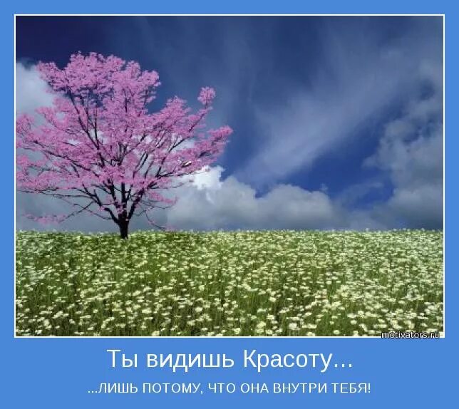 Чем проще было что он видел. Умение видеть красоту. Заметить красоту природы. Умение видеть красоту вокруг себя. Умение видеть красоту природы.