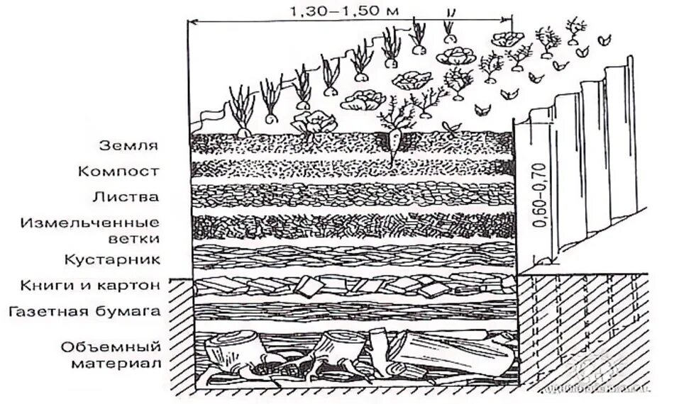 Грядки относительно сторон света. Грядки по Курдюмову схема. Огород по Митлайдеру схема посадки. Расположение грядок на участке по сторонам света. Как расположить грядки на участке схема.