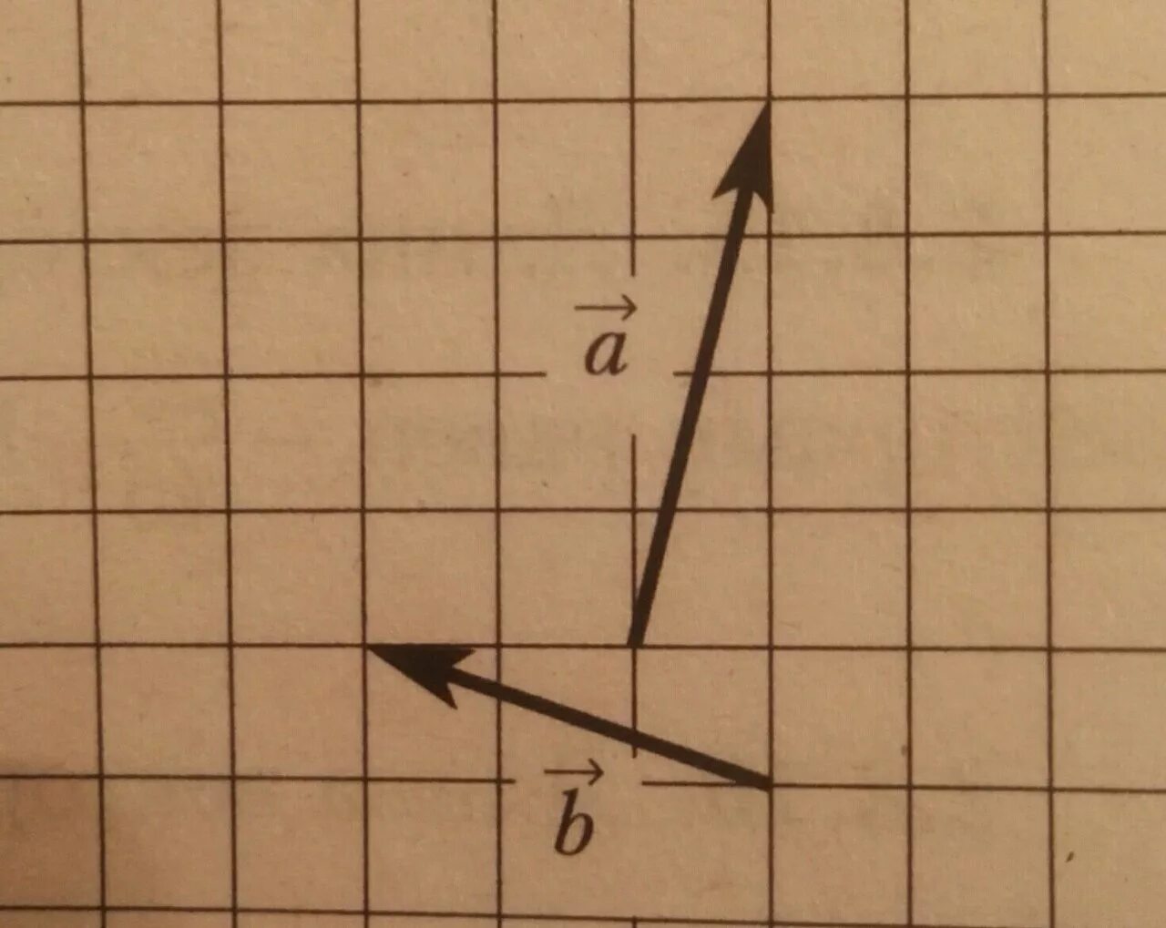 Скалярное произведение векторов на клетчатой бумаге. Координаты вектора 9 класс. Треугольник на клетчатой бумаге. Векторы на клетчатой бумаге. На клетчатой бумаге постройте векторы.