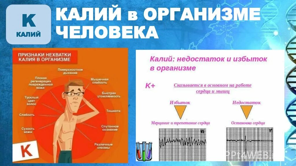 Калий магний для чего нужны организму. Калий в организме. Калий для чего нужен организму. Восстановление калия в организме. Калий в человеке.