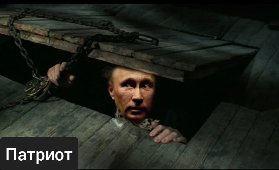 Дыры продажной твари