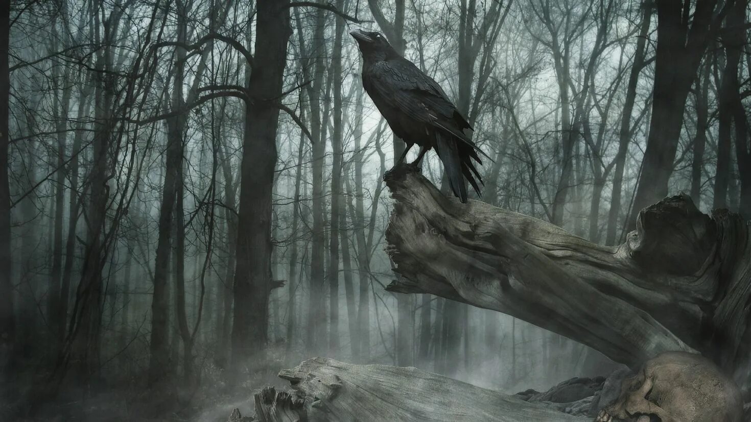 Ворона в лесу. Ворона. Черный ворон в лесу. Ворона в лесу. Вороны на ветке.