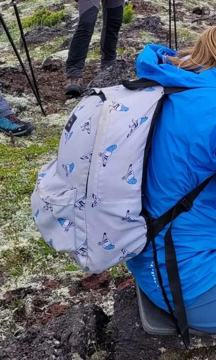 как открыть потерянный рюкзак. Nike utility backpack (27l). как открыть потерянный рюкзак. потерялся рюкзак. утерян рюкзак.