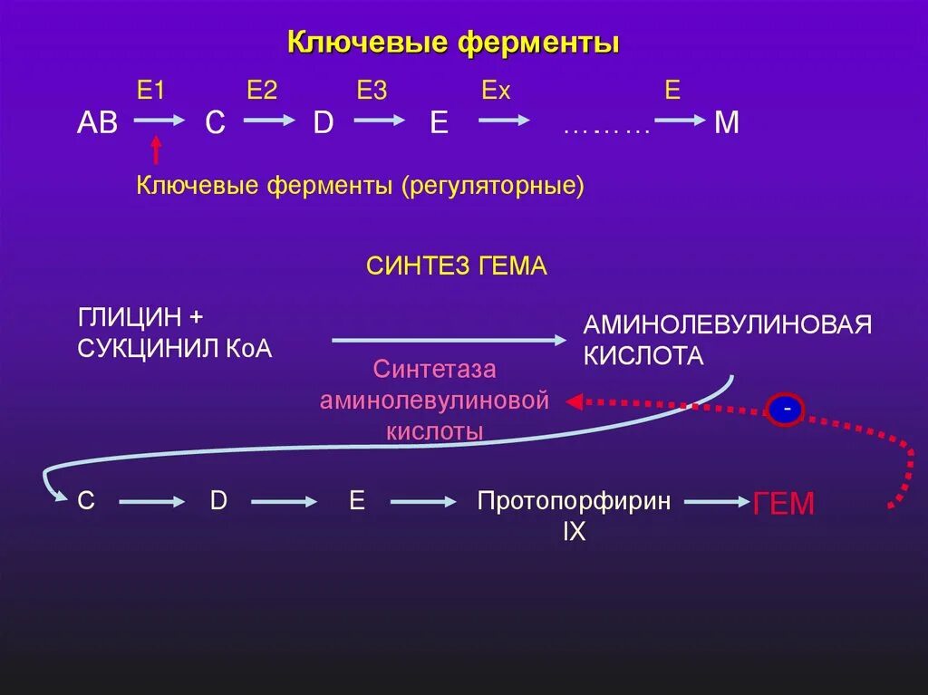 Ключевые ферменты. Ключевые регуляторные ферменты это. Ключевые ферменты биохимия. Регуляция активности ферментов.