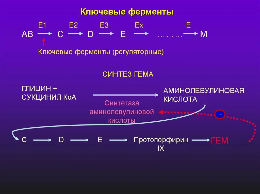 Ферменты введение. Ключевые ферменты. Ключевые регуляторные ферменты это. Ключевые ферменты биохимия. Регуляция активности ферментов.