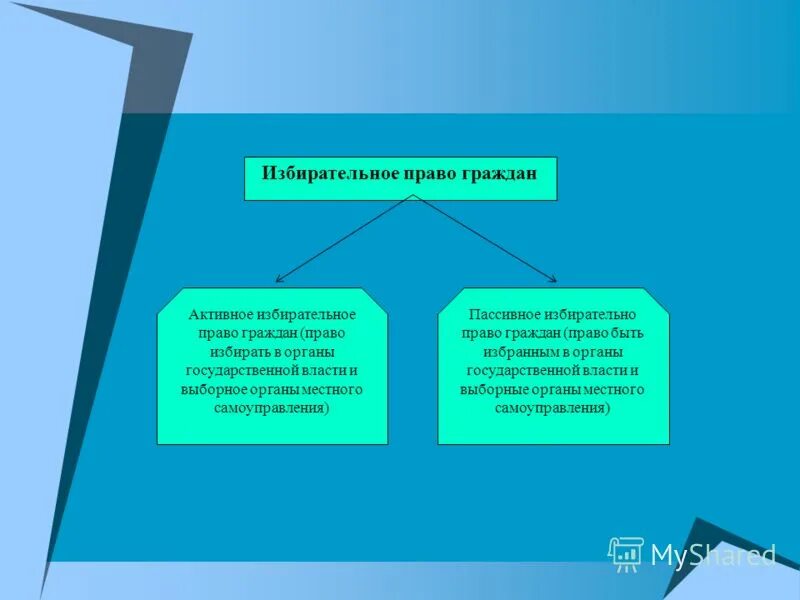 Активное избирательное право. Пассивное избирательное право. Активное и пассивное избирательное право.