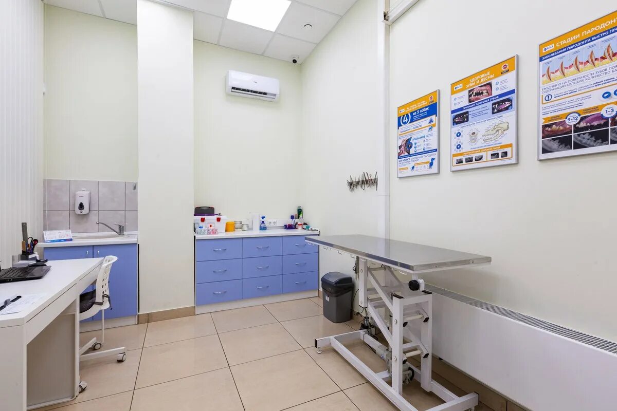 ведическая литература книги. новая школа в парголово строится. скидка на следующую покупку. шаблон скидки на следующую покупку. шушары первомайская 26 почта.