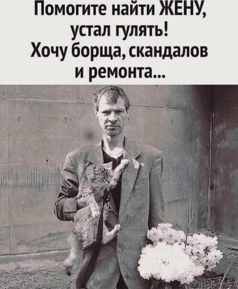 Пикчи со смыслом. Ищу жену прикол. Ты хочешь скандала. Надпись ищу жену. Я не хочу скандалить.
