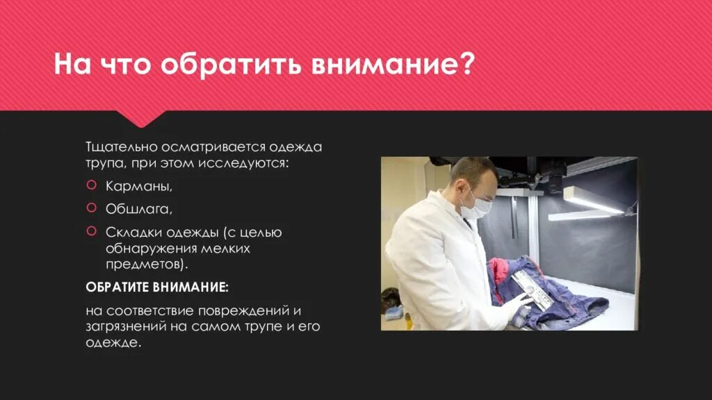 Тщательно осматривал