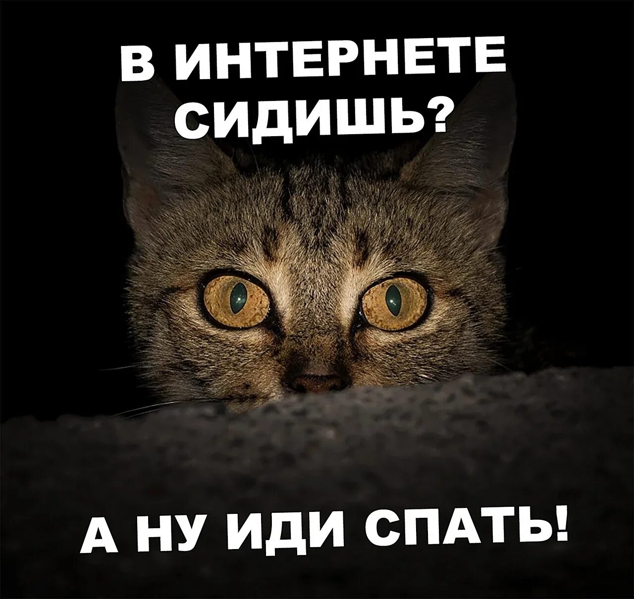 Тихо ложись спать. Тихо ложись спать