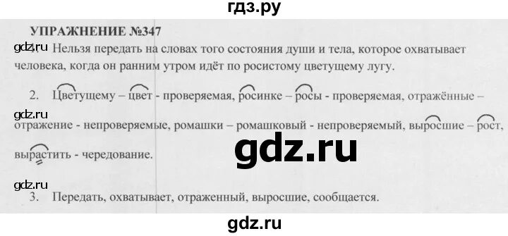 Упр 665. Русский язык 5 класс Разумовская. Домашнее задание по русскому языку 5 класс Разумовская. Упражнения по русскому языку 5 класс Разумовская.