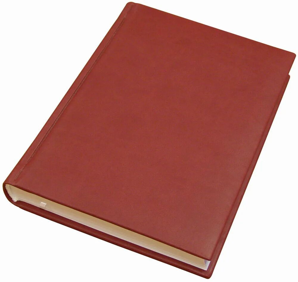 ежедневник кожзам бежево-бордовый. ежедневник кожзам. ежедневник недат. ежедневник а4 датированный 2022. переплетный кожзам небраска.