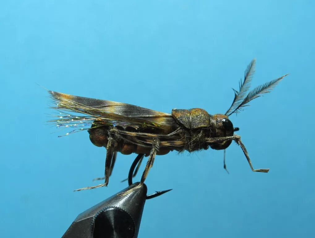 Истребители жуков. Fly tying жуки. Муха (насекомое). Hopper Fly Foam. Beetle Fly.