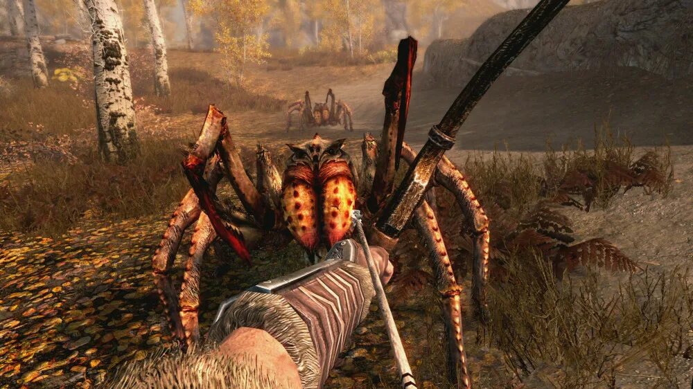 The elder scrolls v читы. Игра the elder scrolls 5. the elder scrolls 5: skyrim special edition. nintendo switch the elder scrolls 5 skyrim edition. элдер скролс скайрим.